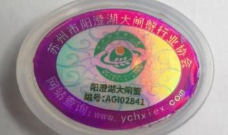 阳澄湖大闸蟹苗 阳澄湖大闸蟹苗