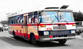 北京375路公交车事件 北京375路公交车事件