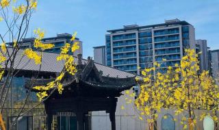 昆明呈贡房价新楼盘