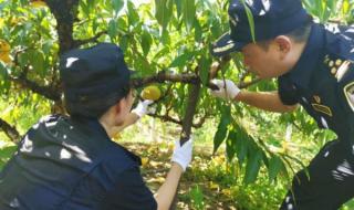 上海注册外贸公司 上海注册外贸公司