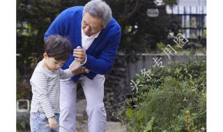 什么是轻体行业 什么是轻体行业