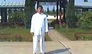 陈式太极拳小架一路 陈式太极拳小架一路