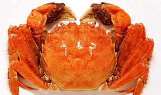 阳澄湖大闸蟹蟹卡 阳澄湖大闸蟹蟹卡