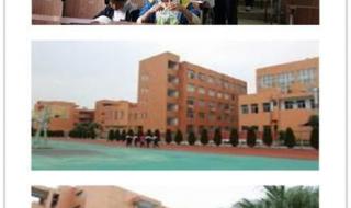 瓯海区实验中学 瓯海区实验中学