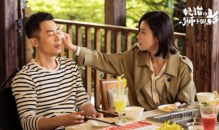 赖猫的狮子倒影小说 赖猫的狮子倒影小说