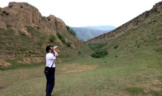 无名高地剧情介绍