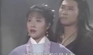 新包青天之再世情仇 新包青天之再世情仇