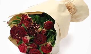 深圳燃气网上订气 深圳燃气网上订气