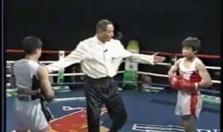 中国散打王 中国散打王