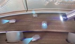 修理机器人 修理机器人