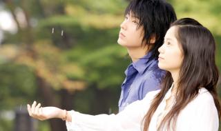 一天的恋人 一天的恋人