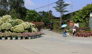 盈香生态园 盈香生态园