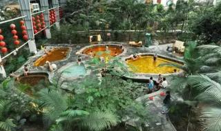 多地景区对教师免门票 多地景区对教师免门票