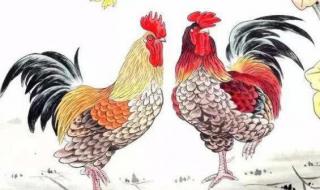 红光满面指什么生肖 红光满面指什么生肖