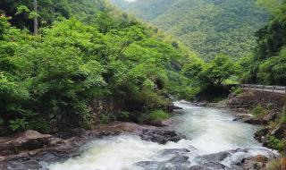 仙境传说名字 仙境传说名字