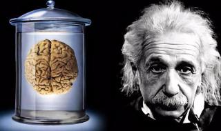 智商可以后天提高吗