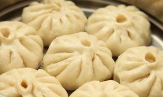 包子怎么做好吃又软和 包子怎么做好吃又软和