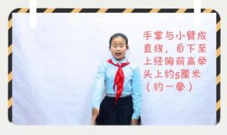 少先队六知六会 少先队六知六会