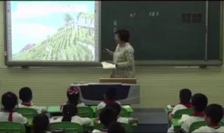 小学语文二年级下册 小学语文二年级下册