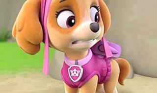 汪汪队立大功第1季 汪汪队立大功第1季