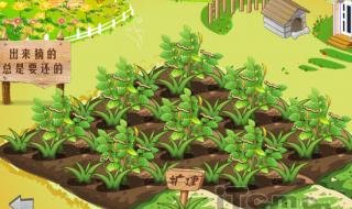 qq农场怎样快速升级