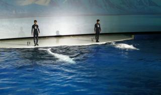 长风海洋世界好玩吗